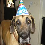 Happy Birthday!